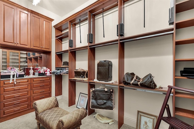 spacious closet featuring carpet flooring