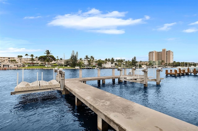 dock area with a water view