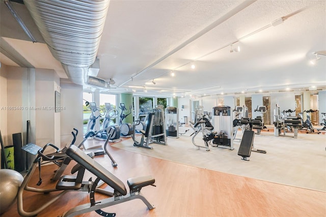 workout area with a textured ceiling, light hardwood / wood-style flooring, and track lighting