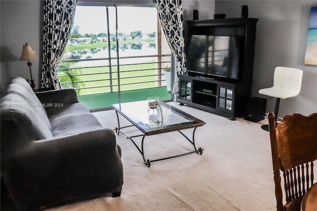 living room featuring carpet floors