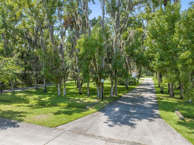 view of community featuring a yard