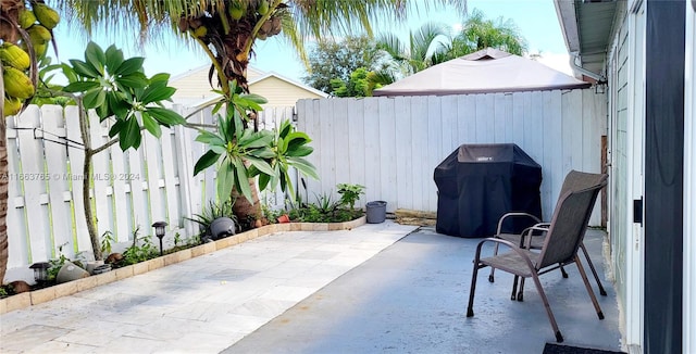 view of patio with grilling area