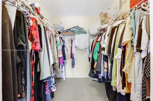 spacious closet with carpet floors