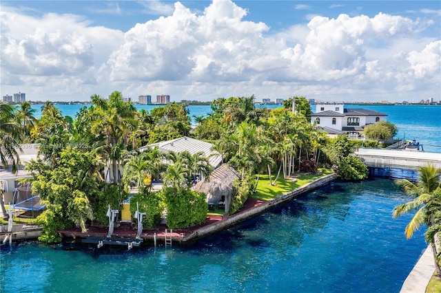 bird's eye view featuring a water view