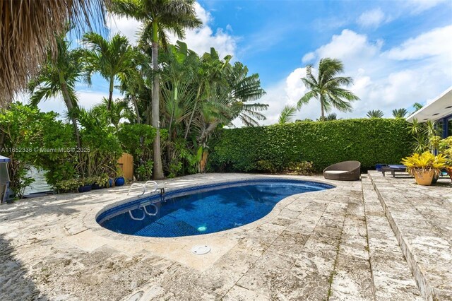 view of pool with a patio