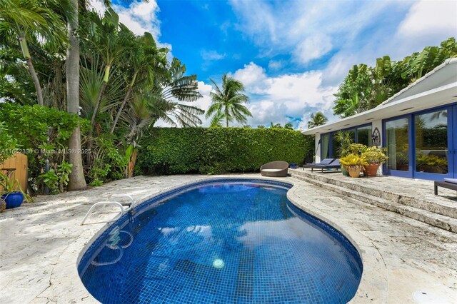 view of swimming pool featuring a patio