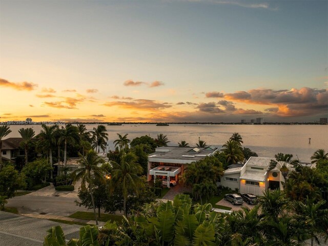 property view of water