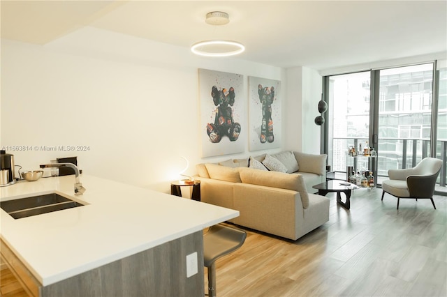 living room with light wood-type flooring, a wall of windows, and sink