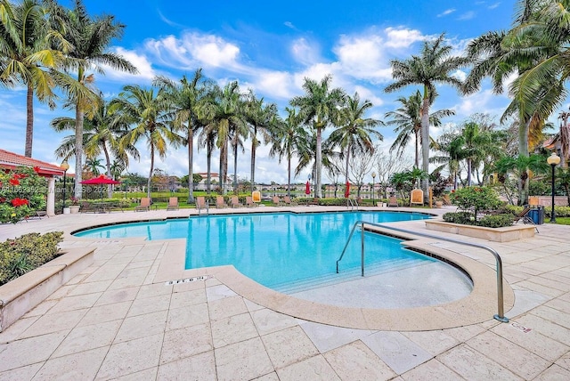 view of swimming pool featuring a patio