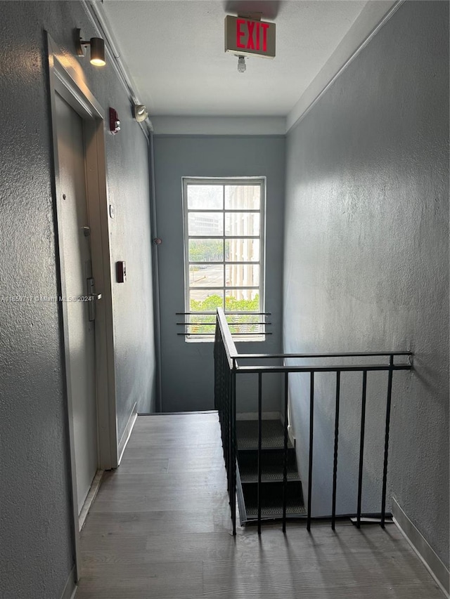 corridor featuring dark hardwood / wood-style flooring