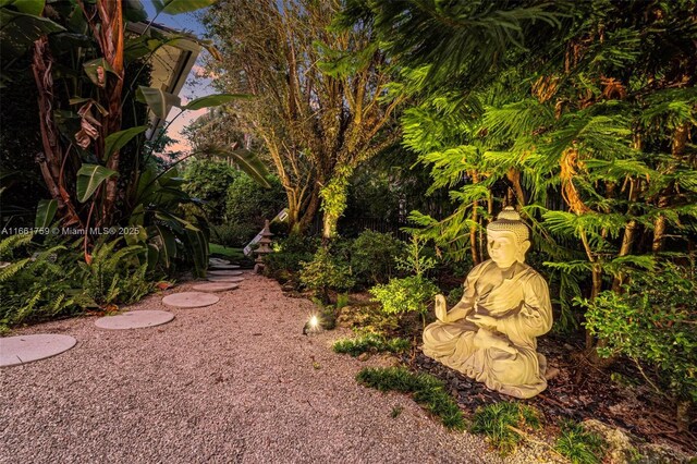 view of yard featuring a patio