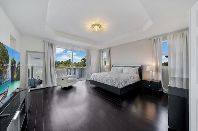 bedroom with a raised ceiling and dark wood-type flooring