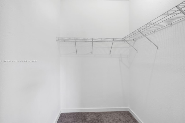 22425 SW 125th Ave Unit 22425, Miami, FL 33170 - walk in closet featuring carpet floors
