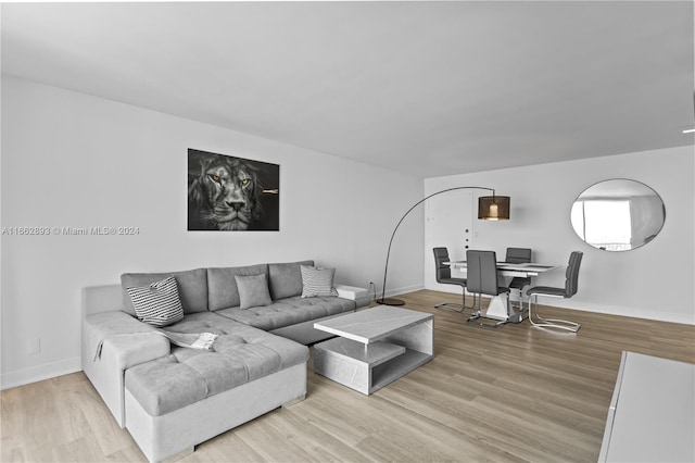 living room with light wood-type flooring