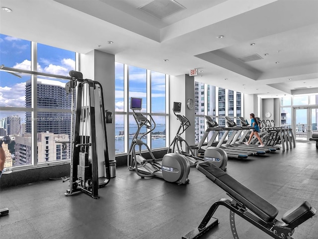 exercise room featuring expansive windows and a raised ceiling