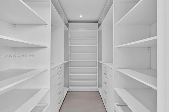 view of spacious closet