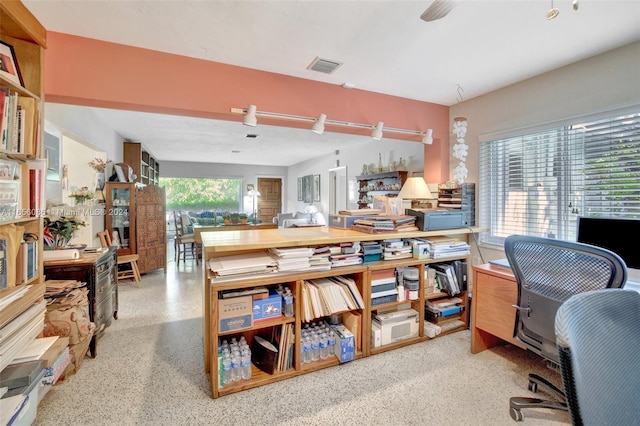 office space featuring ceiling fan and plenty of natural light