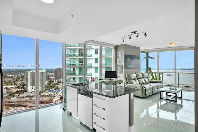 kitchen featuring dishwasher, white cabinetry, expansive windows, and dark stone countertops