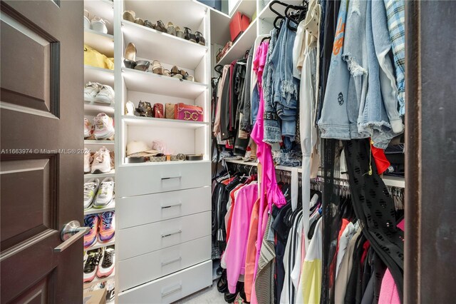 view of walk in closet