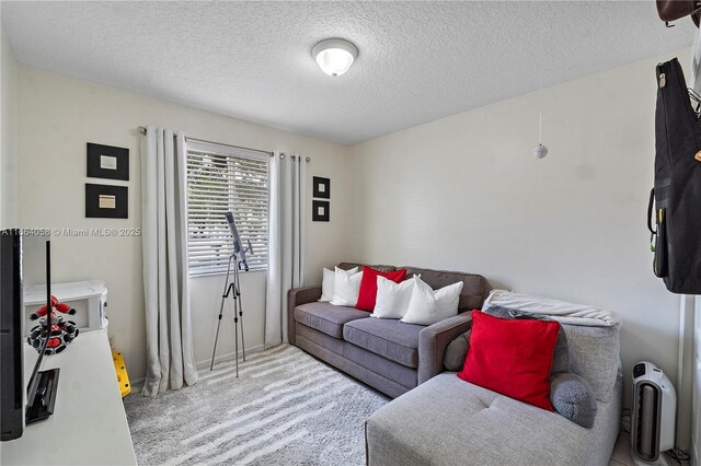 living room featuring light colored carpet and a textured ceiling