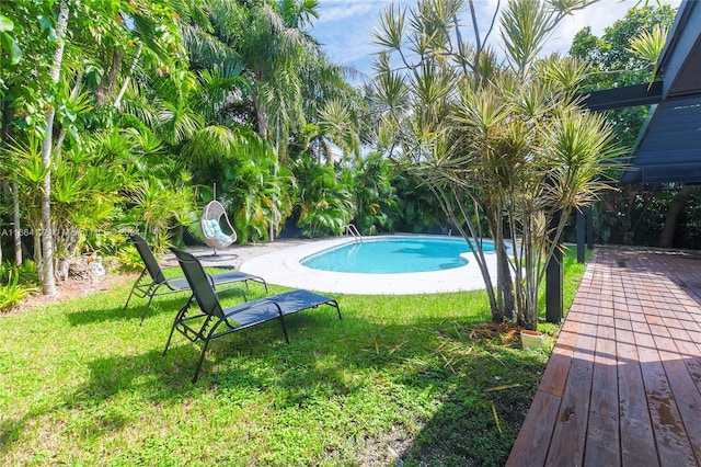 view of swimming pool with a lawn