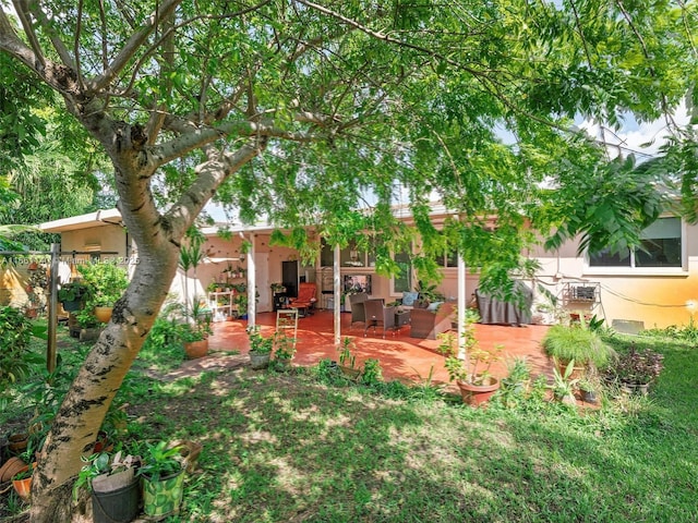 view of yard featuring a patio