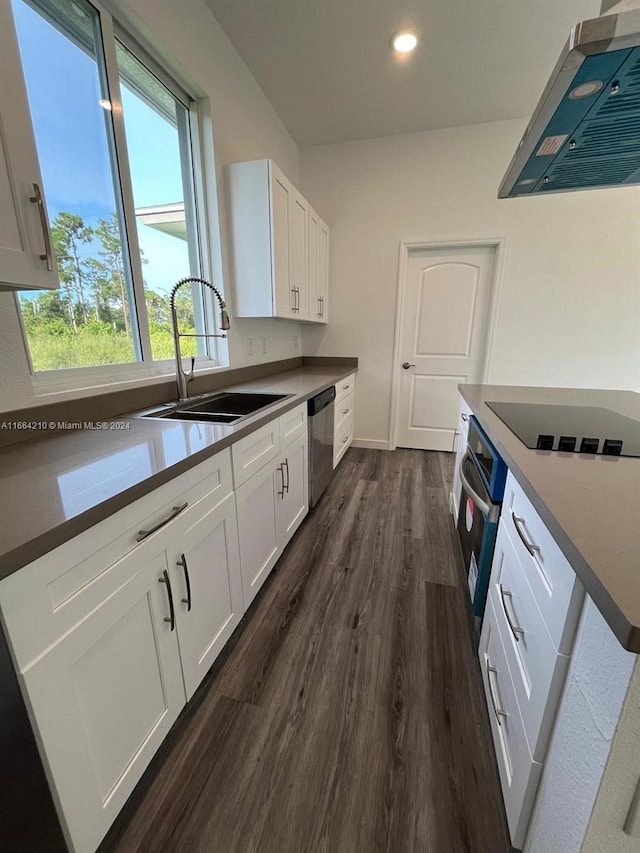 kitchen featuring dark wood-type flooring, white cabinets, stainless steel appliances, exhaust hood, and sink