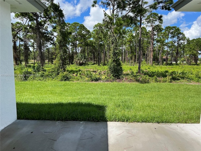 view of yard featuring a patio area