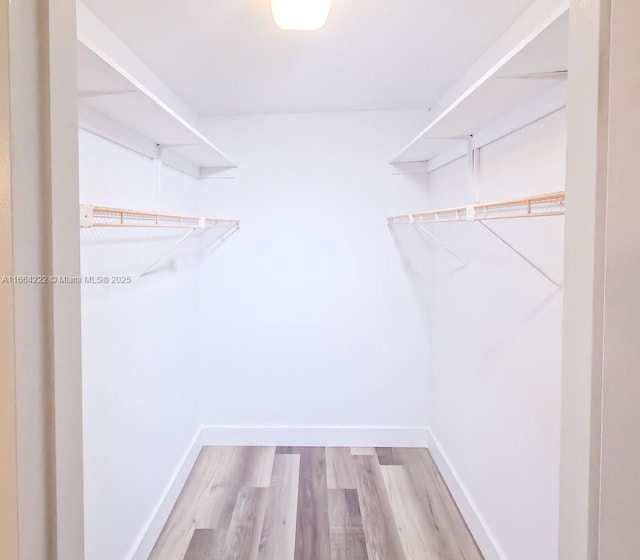 walk in closet with light hardwood / wood-style flooring