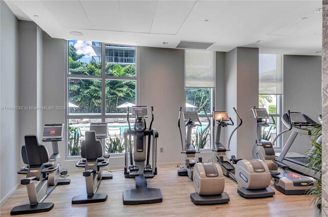 workout area with light hardwood / wood-style flooring and plenty of natural light