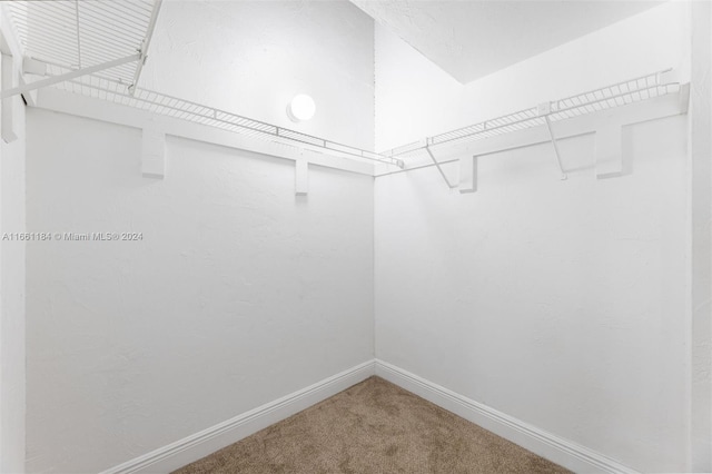 walk in closet with carpet