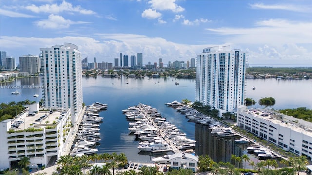 aerial view featuring a view of city and a water view