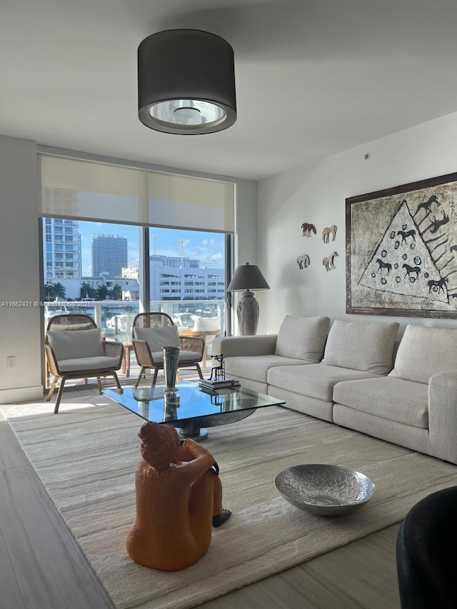 living room with a view of city, a wall of windows, and wood finished floors