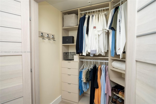 view of closet