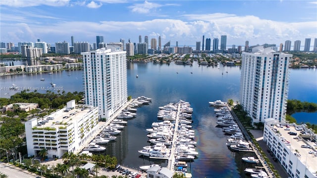 bird's eye view with a city view and a water view