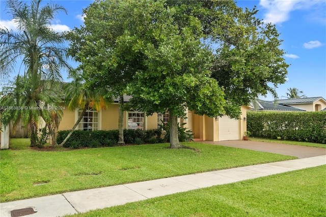 view of property hidden behind natural elements featuring a front lawn and a garage