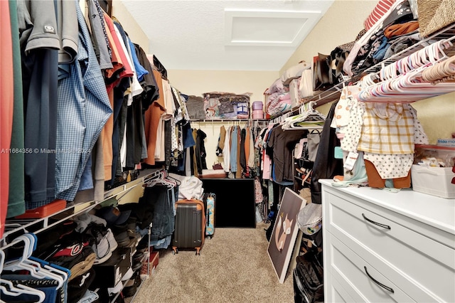 walk in closet with light carpet