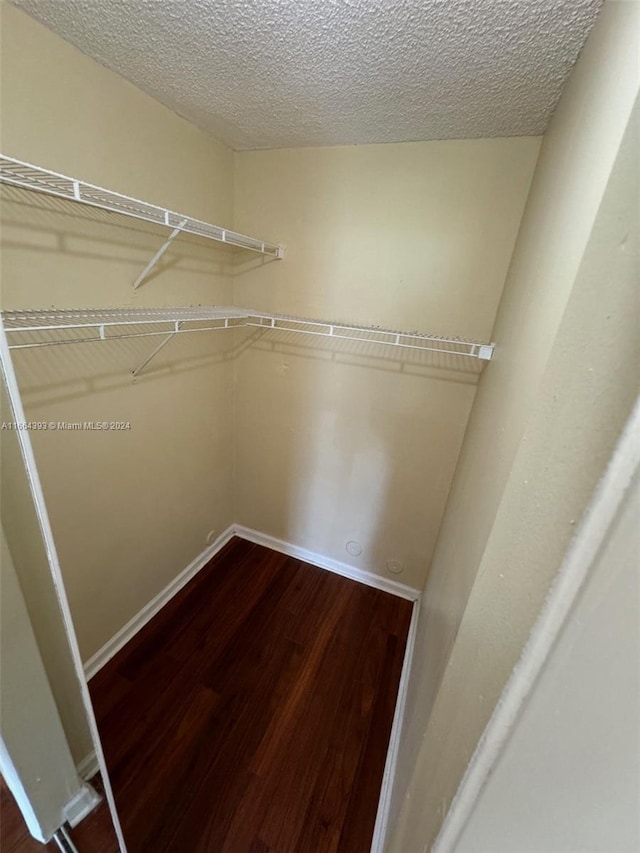 spacious closet with wood-type flooring