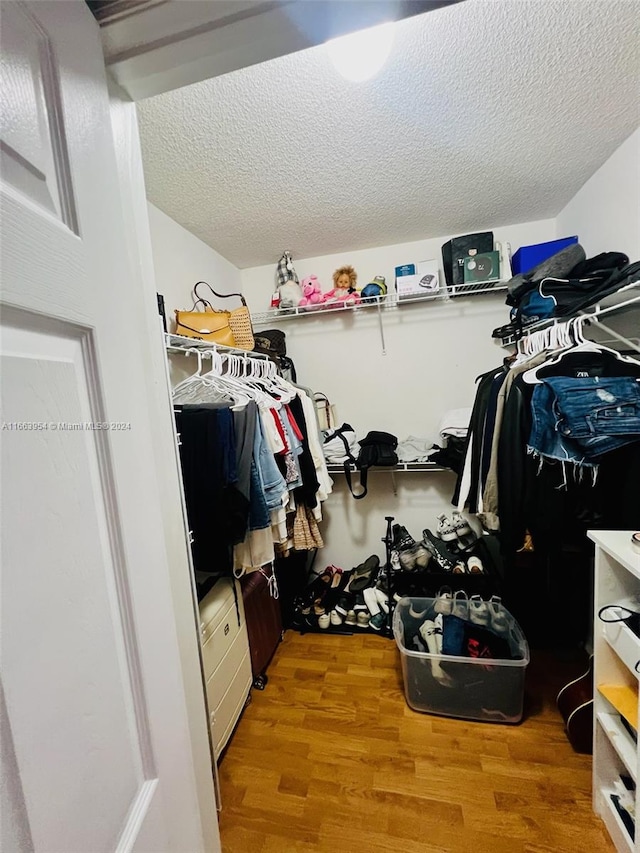 spacious closet featuring light wood-type flooring