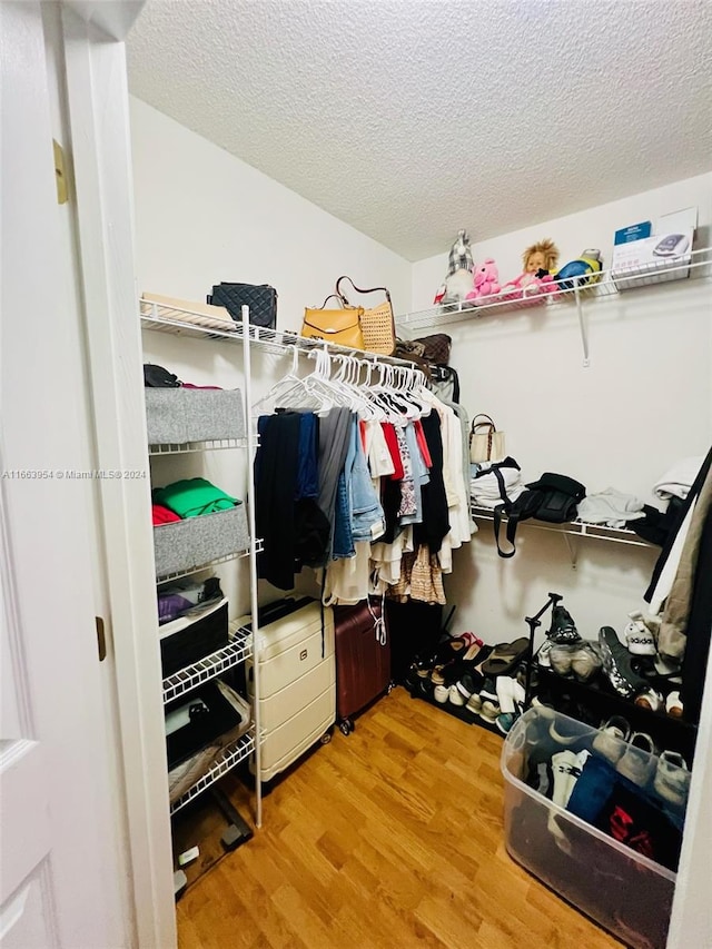 spacious closet with hardwood / wood-style floors