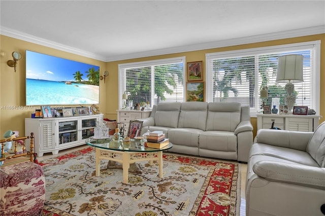 living room featuring wood-type flooring and ornamental molding