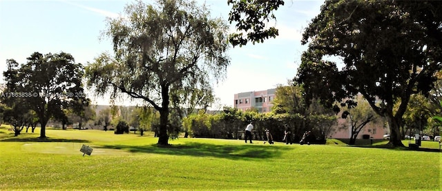 view of home's community featuring a yard