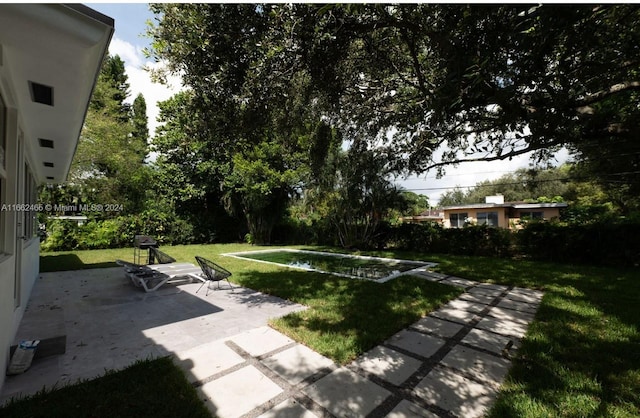 view of yard featuring a patio area