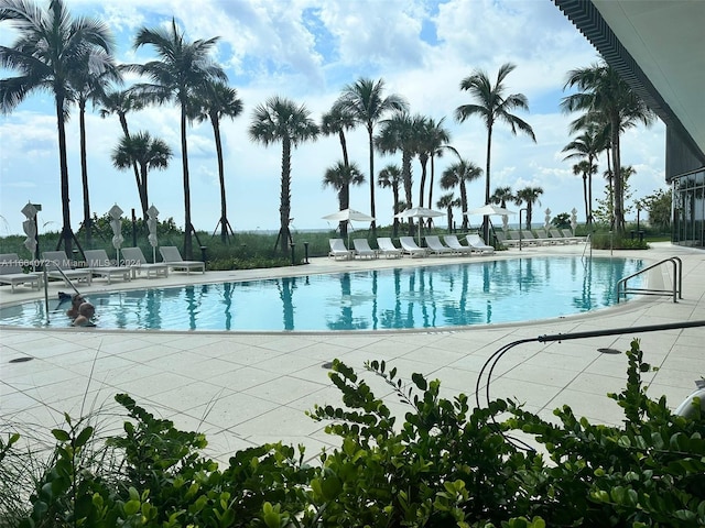 view of pool with a patio