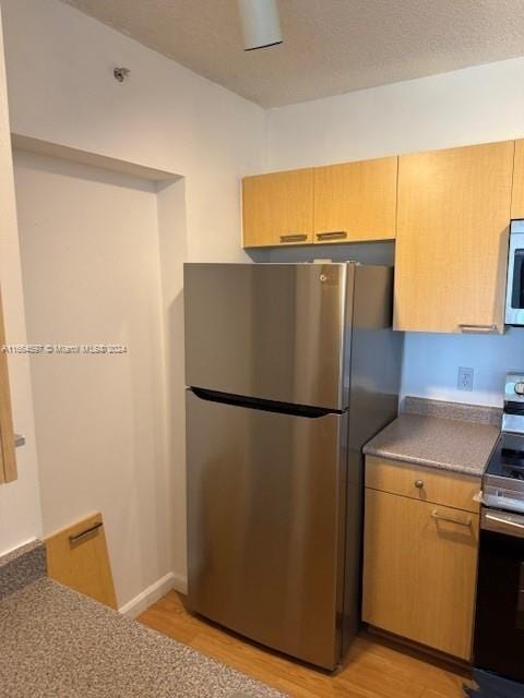 kitchen featuring light hardwood / wood-style floors and stainless steel appliances