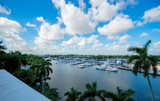 1861 NW S River Dr Unit 1404, Miami, FL 33125 - water view with a marina and a dock