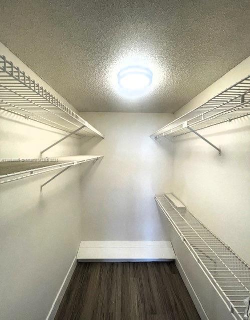 walk in closet featuring dark wood-type flooring