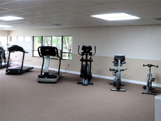 gym with a paneled ceiling and carpet