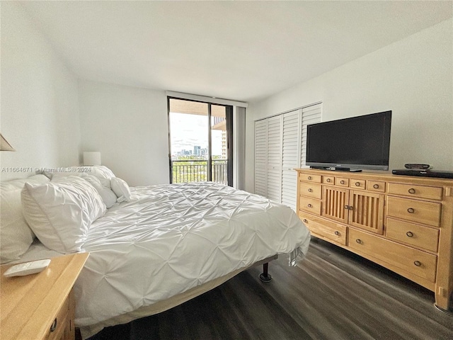 bedroom with dark hardwood / wood-style floors, a closet, and access to exterior