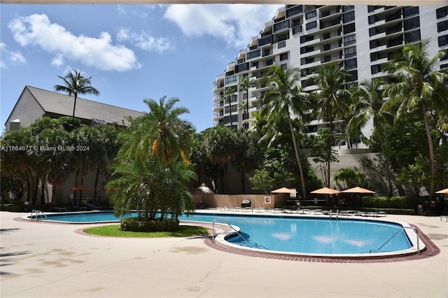 view of pool with a patio